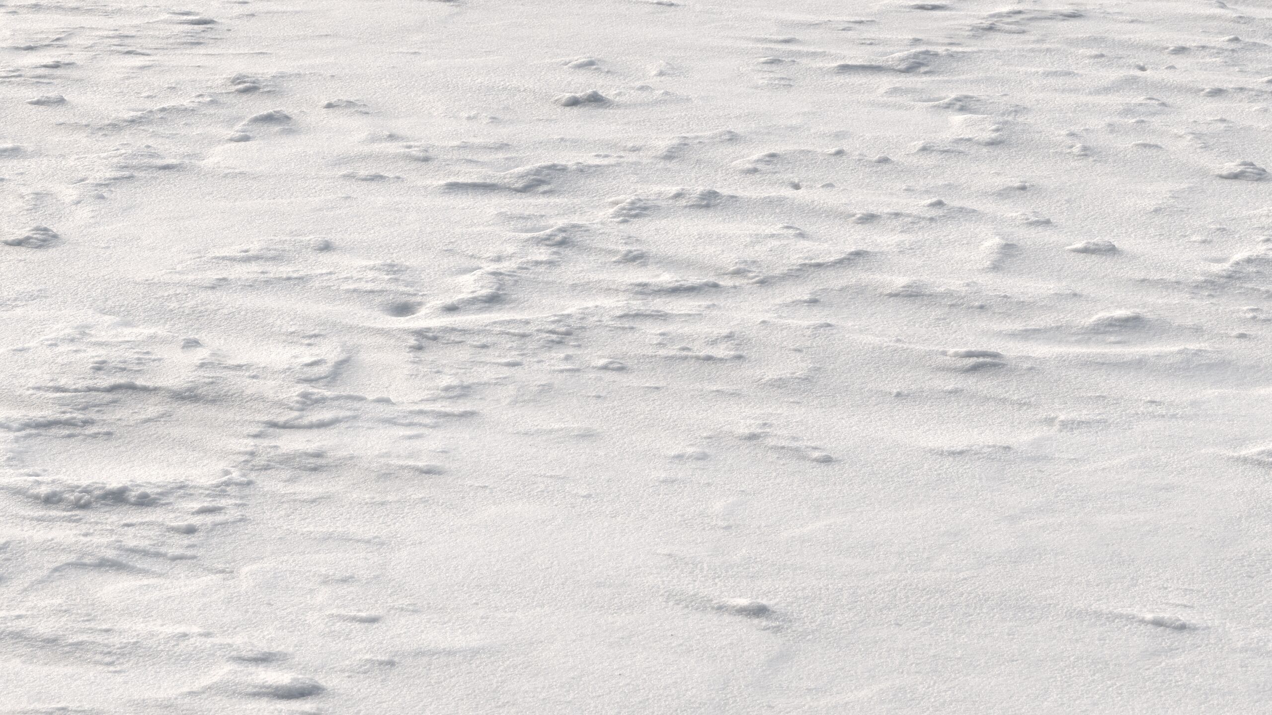 Snow 09 PBR Low-poly 3D model_5