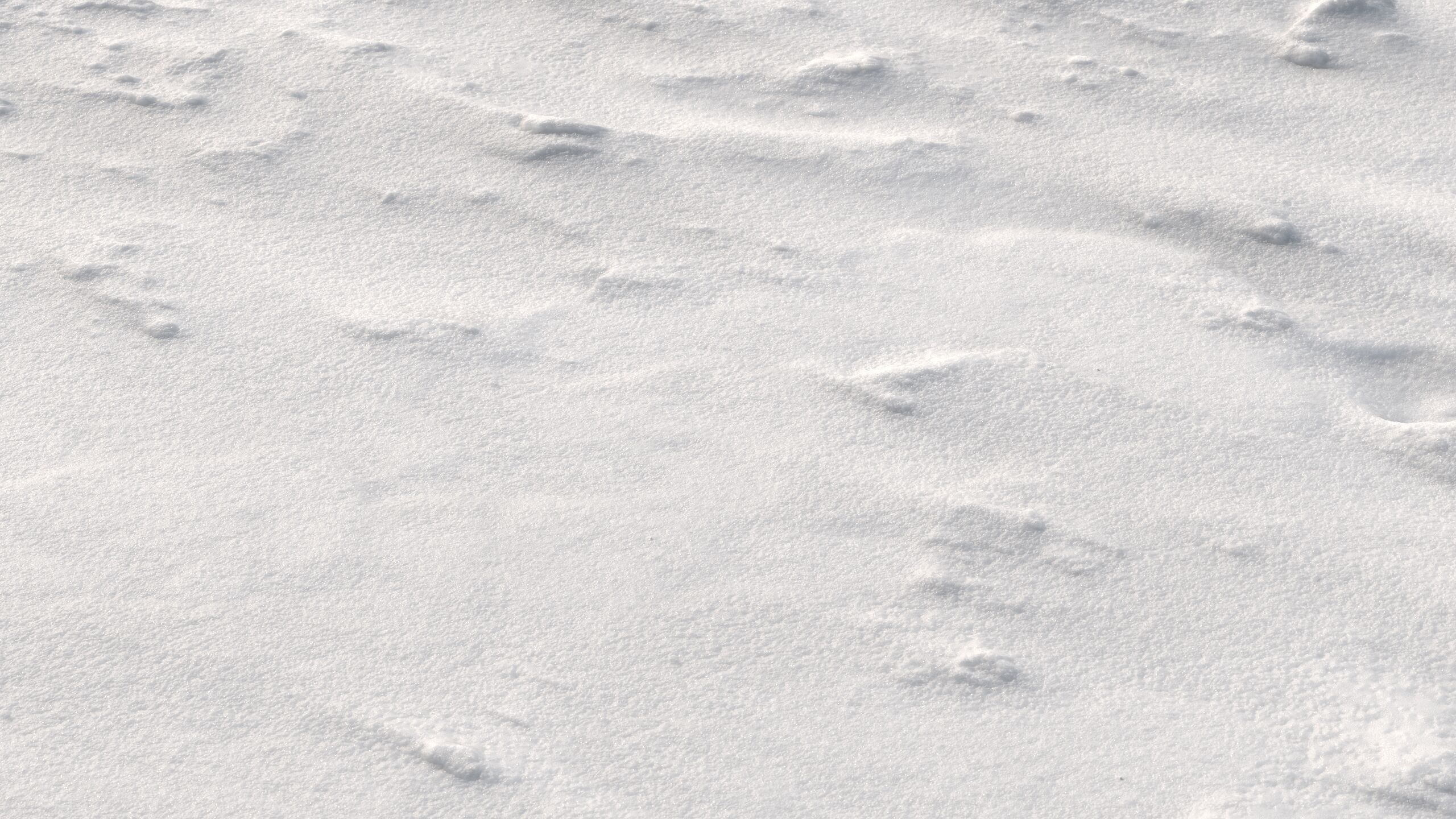 Snow 09 PBR Low-poly 3D model_10