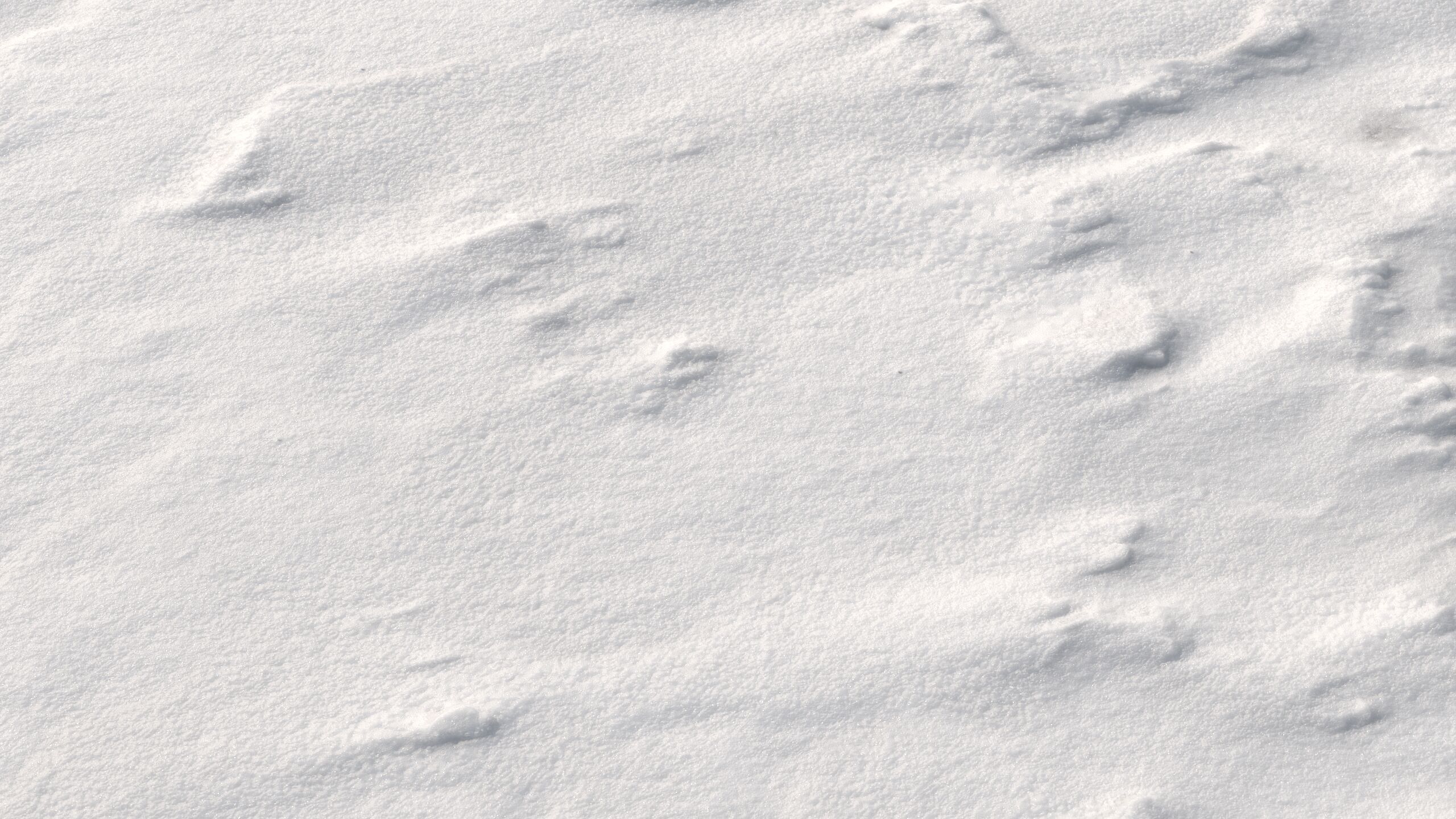 Snow 09 PBR Low-poly 3D model_4