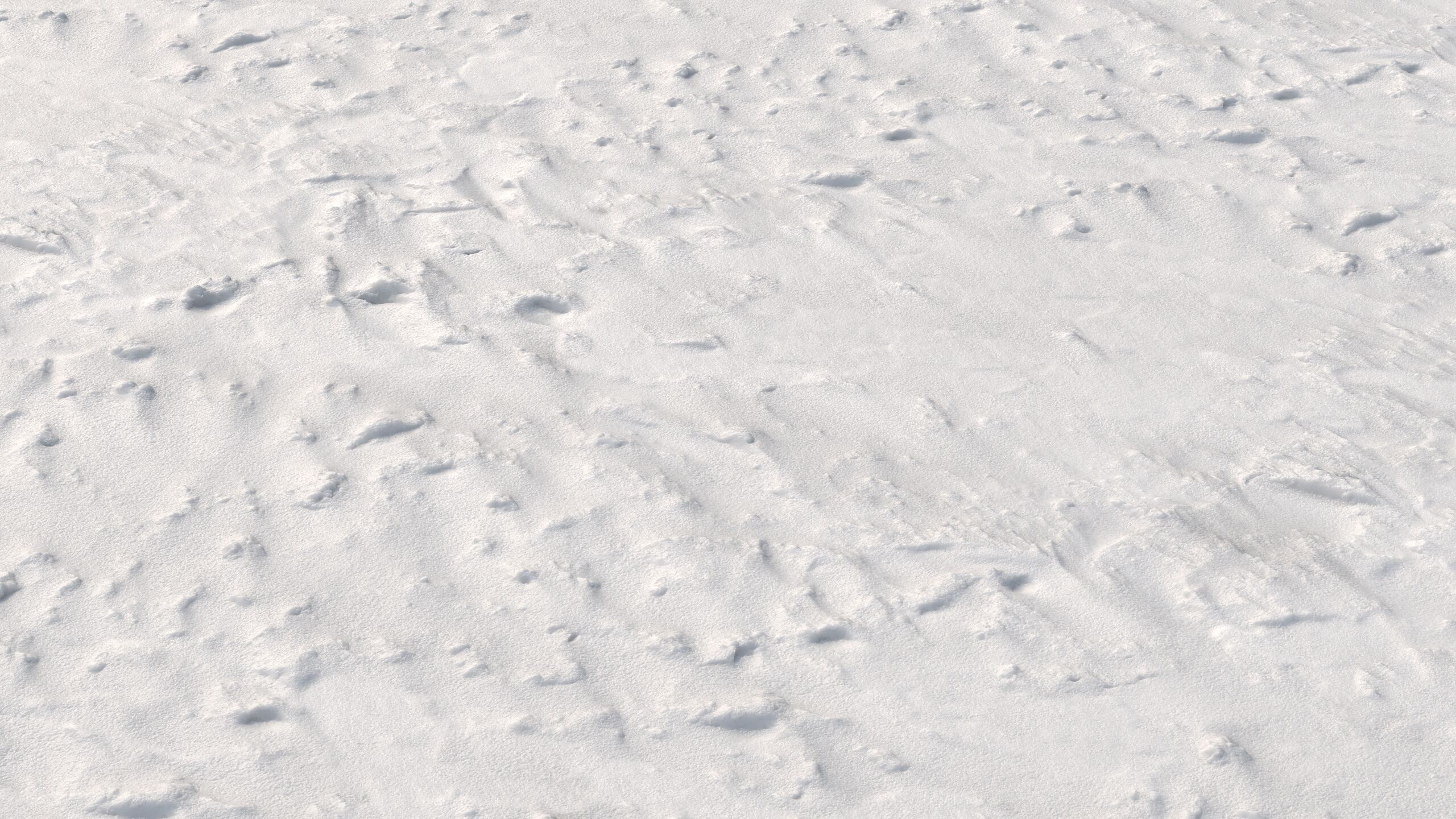 Snow 09 PBR Low-poly 3D model_7