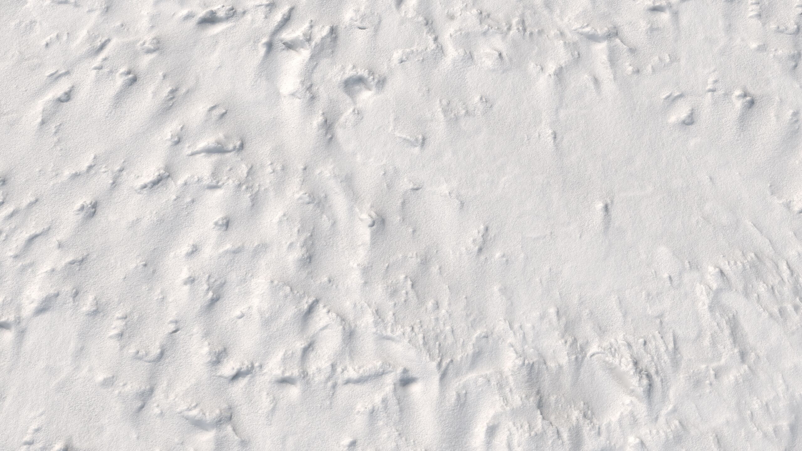 Snow 09 PBR Low-poly 3D model_6