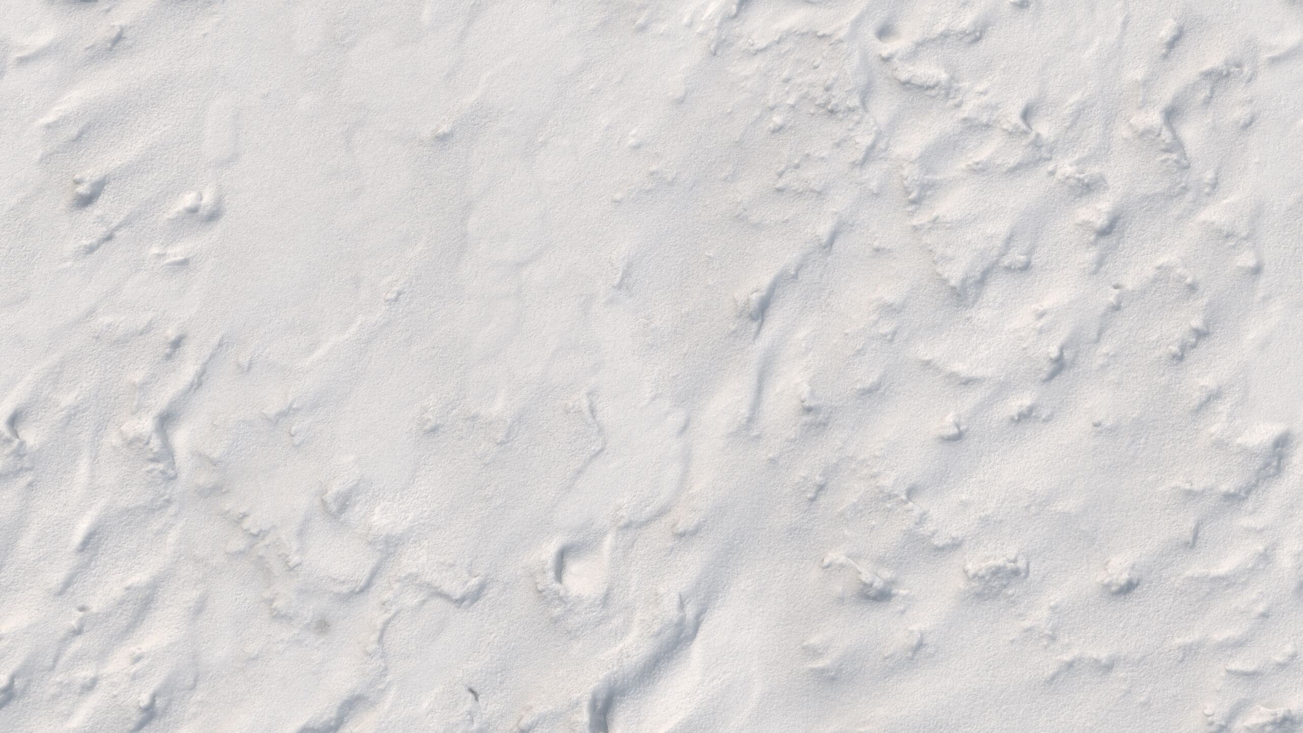 Snow 09 PBR Low-poly 3D model_9