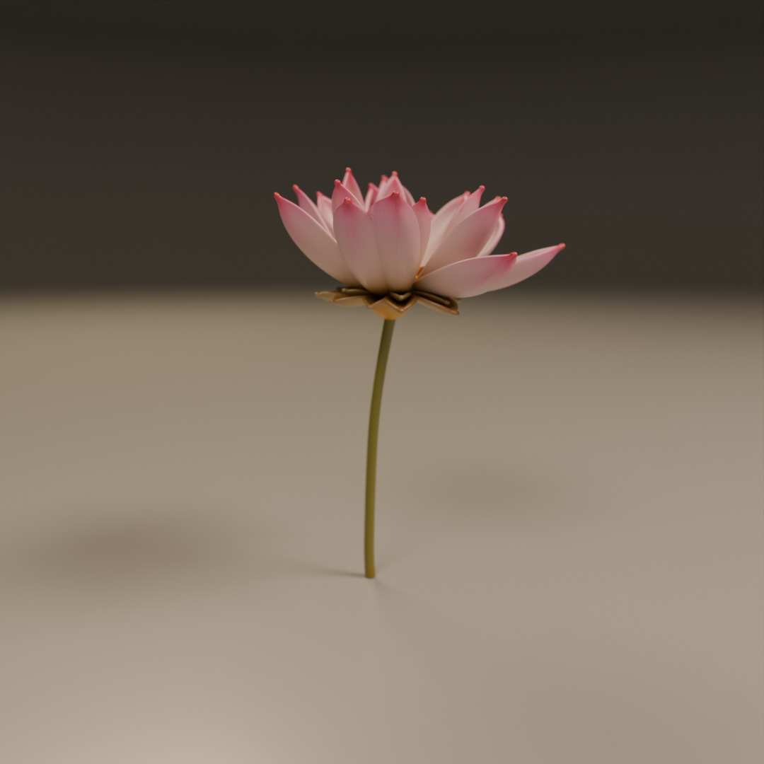 lotus flower 3D print model_15