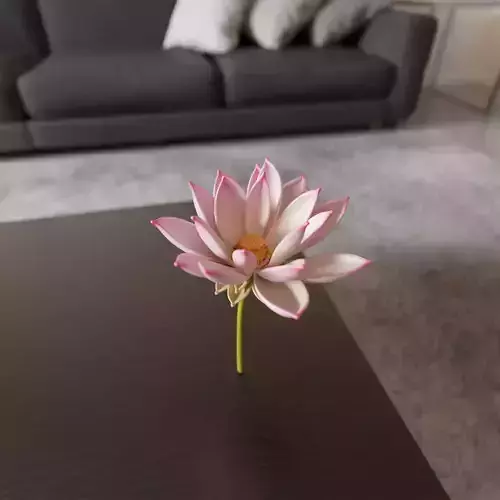 lotus flower 3D print model