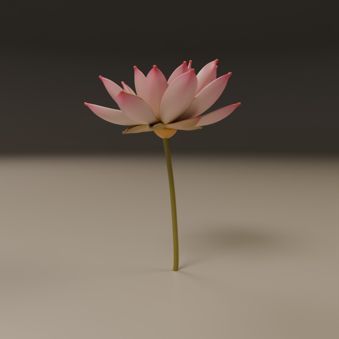 lotus flower 3D print model_18