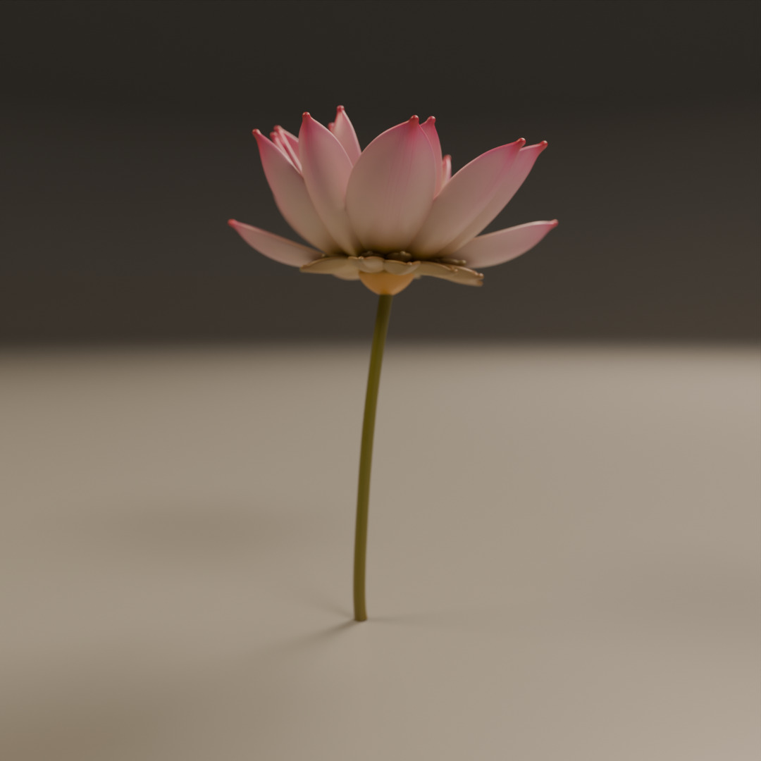 lotus flower 3D print model_12