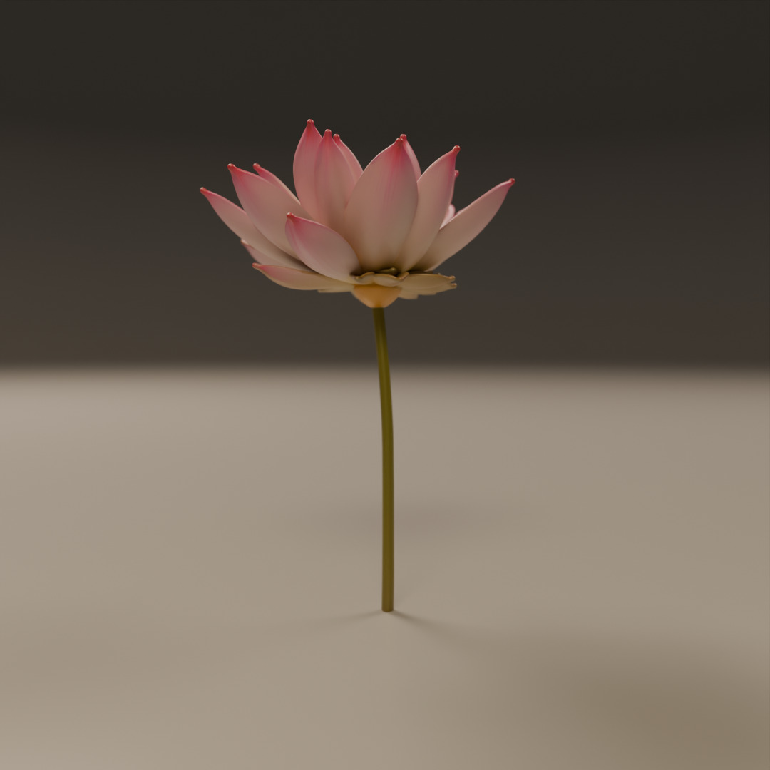 lotus flower 3D print model_11