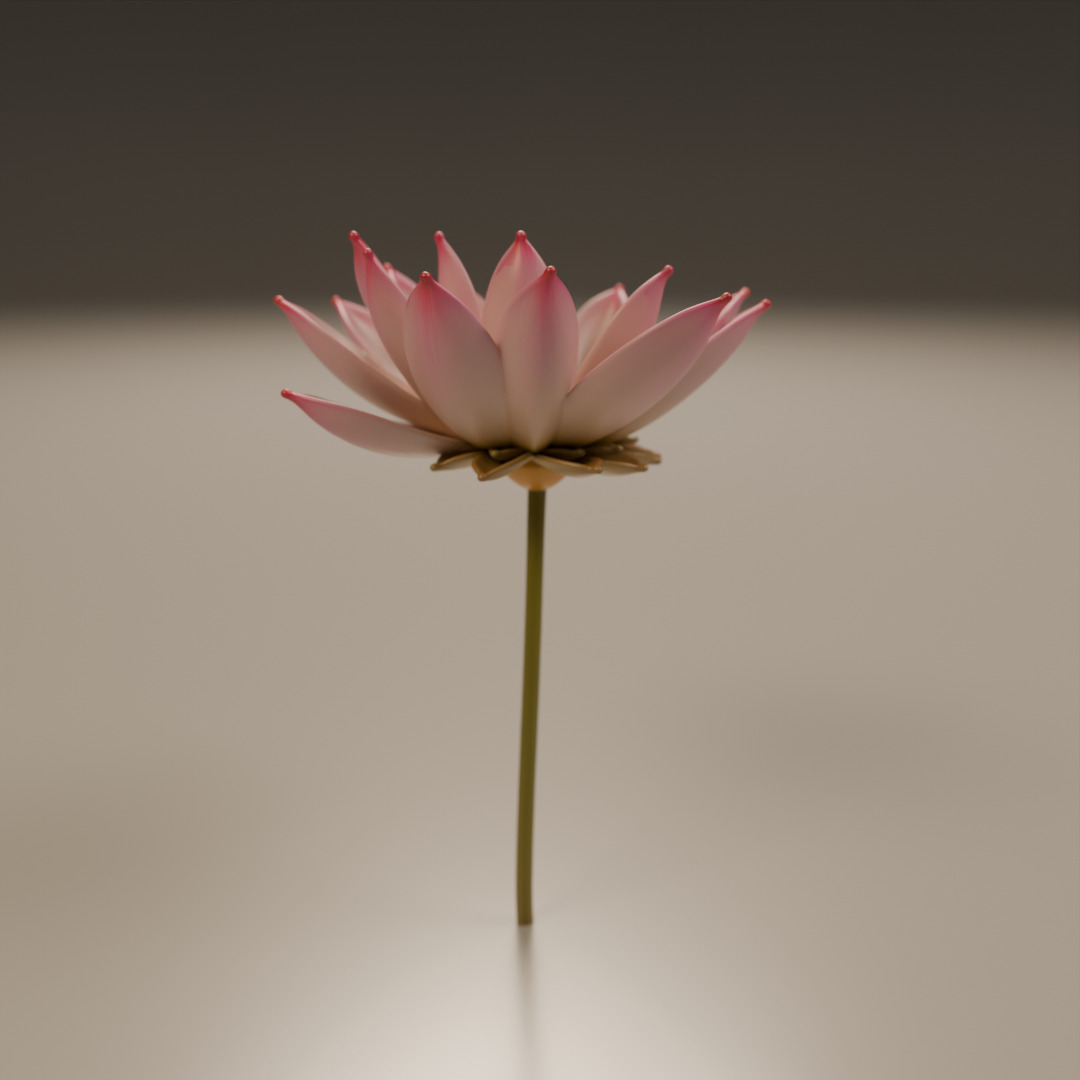 lotus flower 3D print model_16