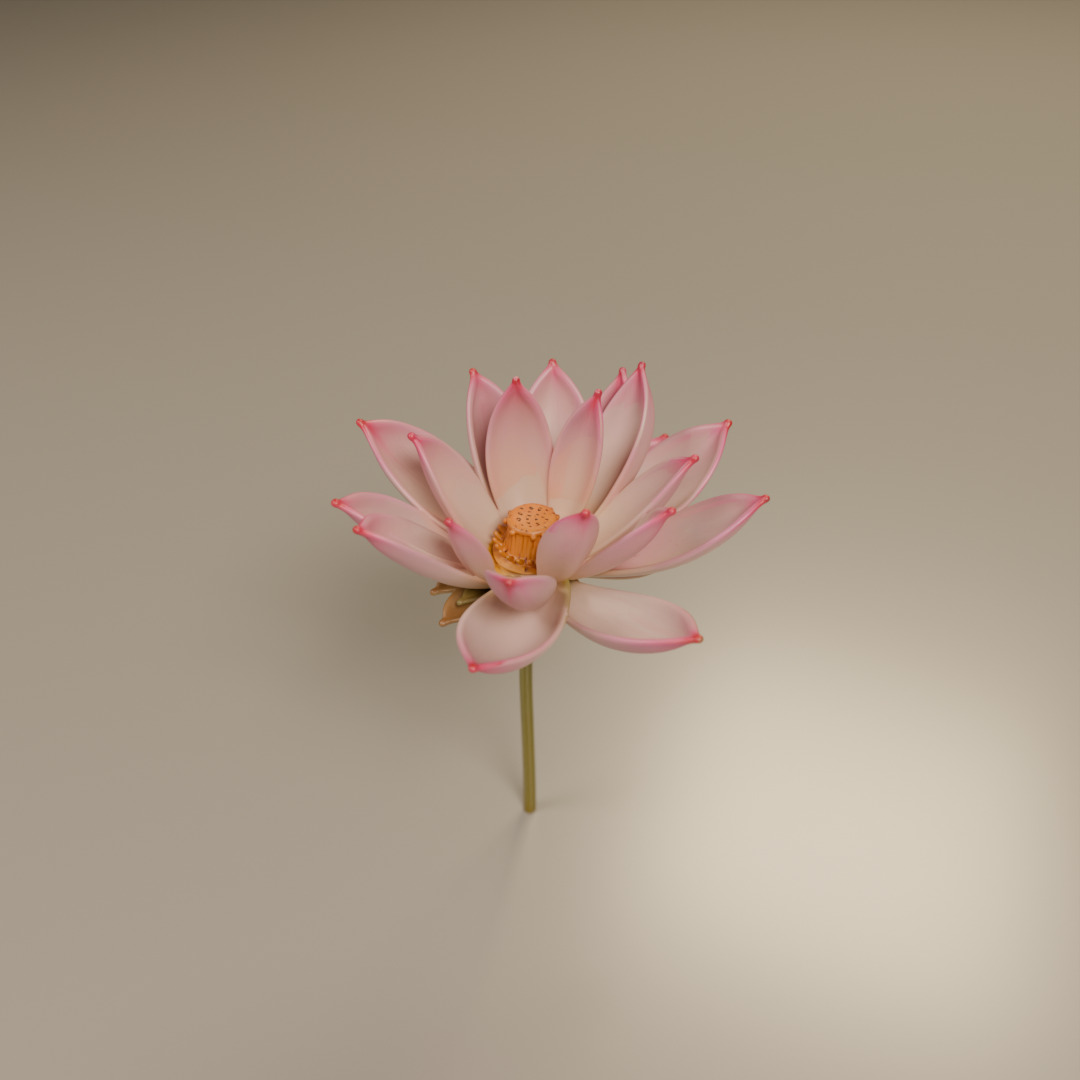 lotus flower 3D print model_17