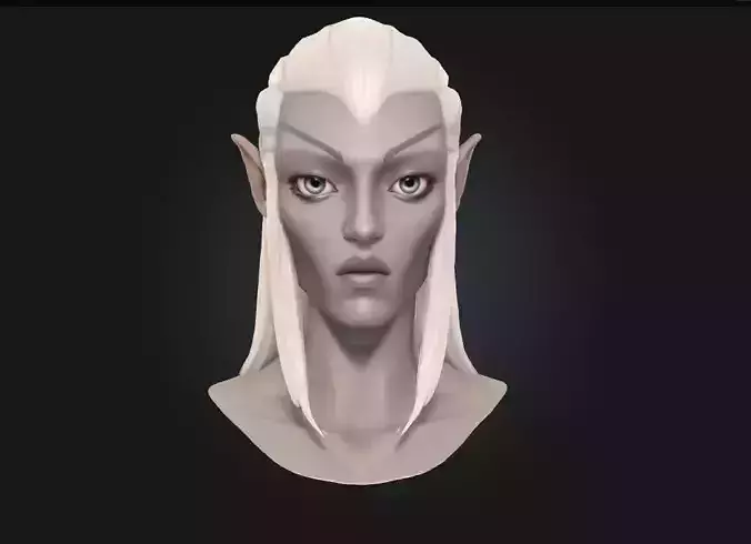 Elf Warrior  Graceful Strength from the Woodland Realms