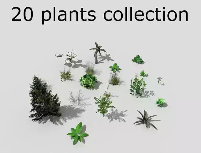 low poly plants collection Low-poly 3D model