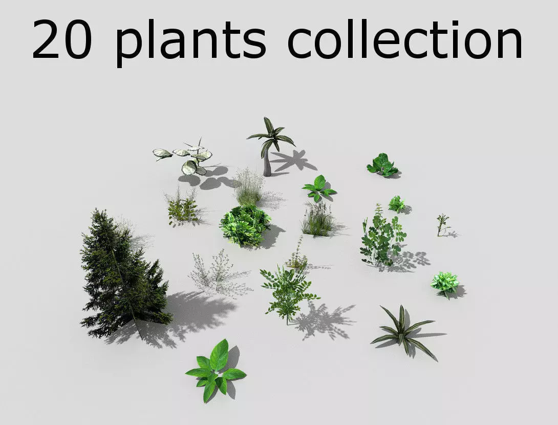 low poly plants collection Low-poly 3D model_0