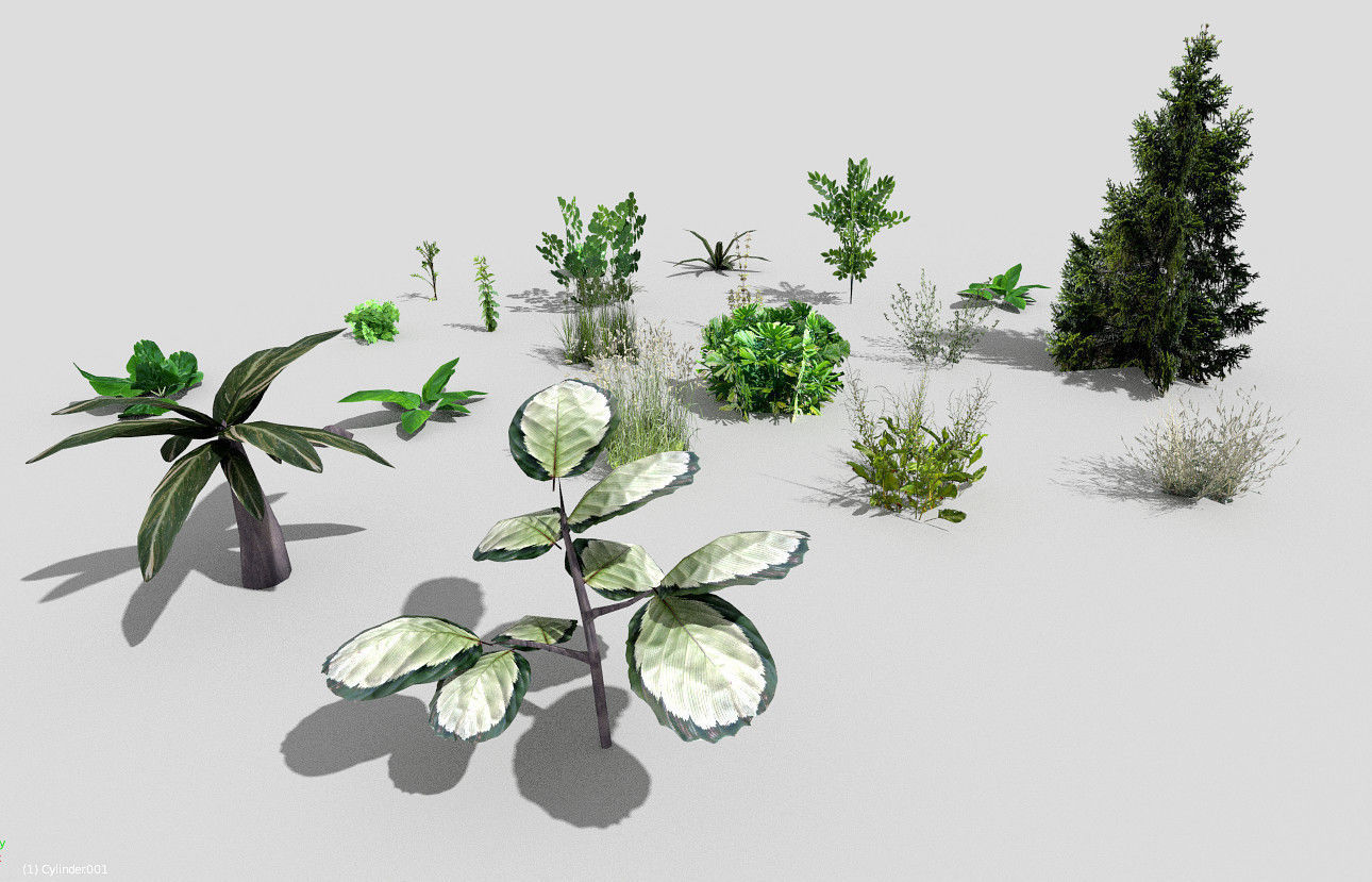 low poly plants collection Low-poly 3D model_4