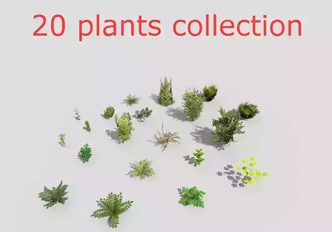 low poly plants collection Low-poly 3D model
