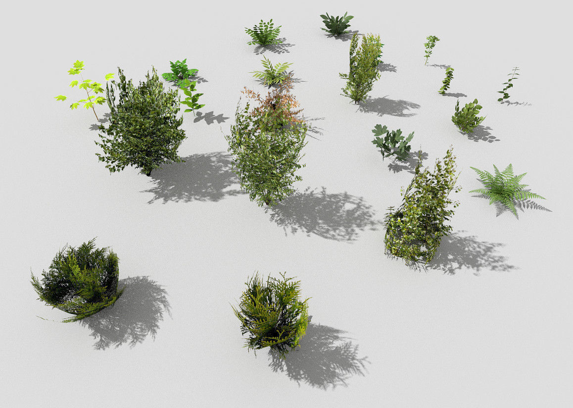 low poly plants collection Low-poly 3D model_7