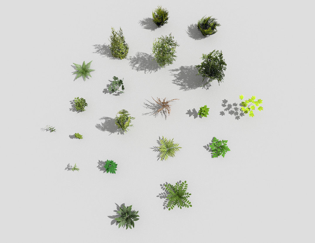 low poly plants collection Low-poly 3D model_1