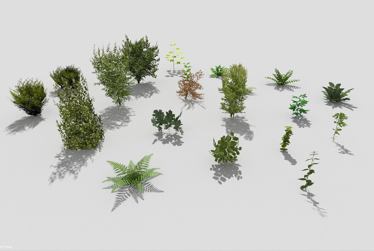 low poly plants collection Low-poly 3D model_3