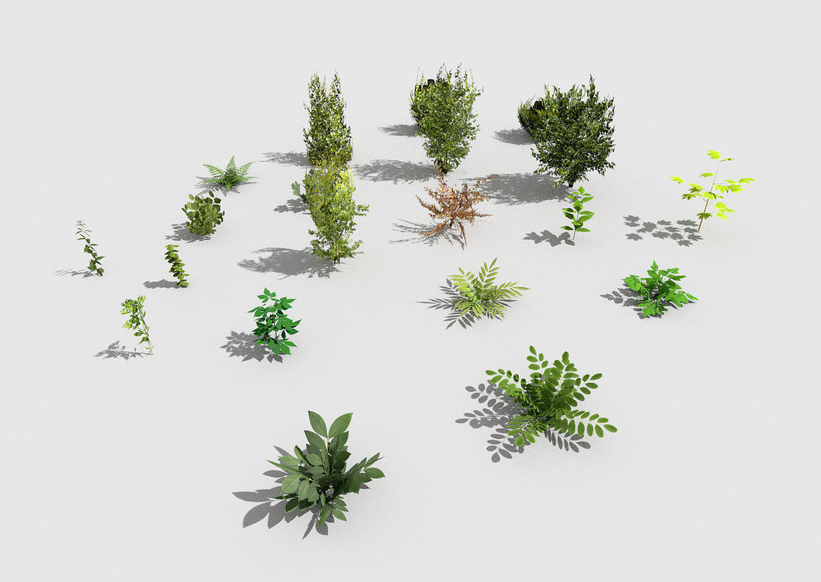 low poly plants collection Low-poly 3D model_2