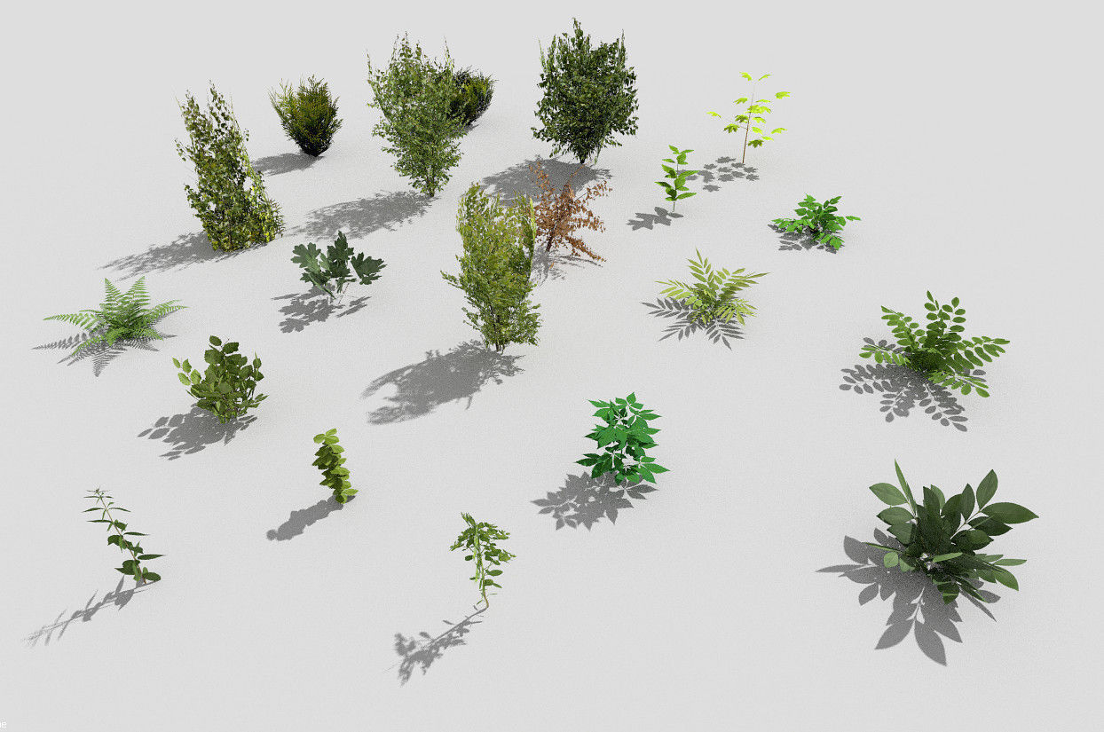 low poly plants collection Low-poly 3D model_4