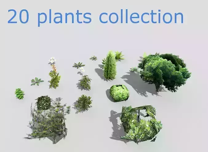 low poly plants collection and trees