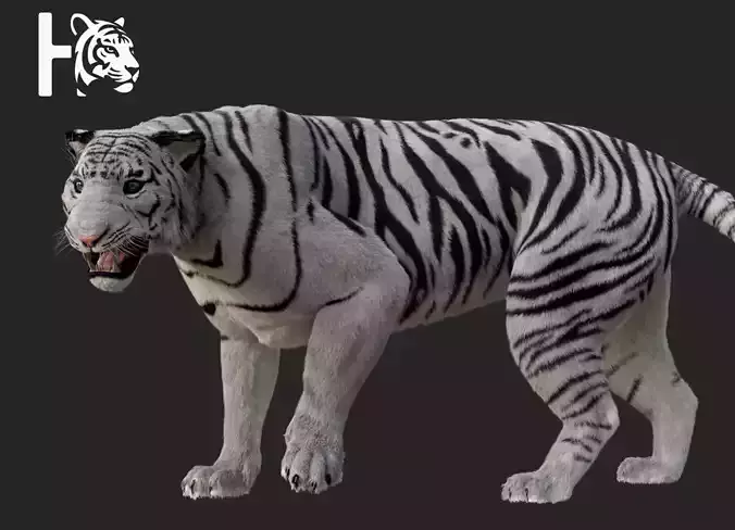 White Tiger 3D model