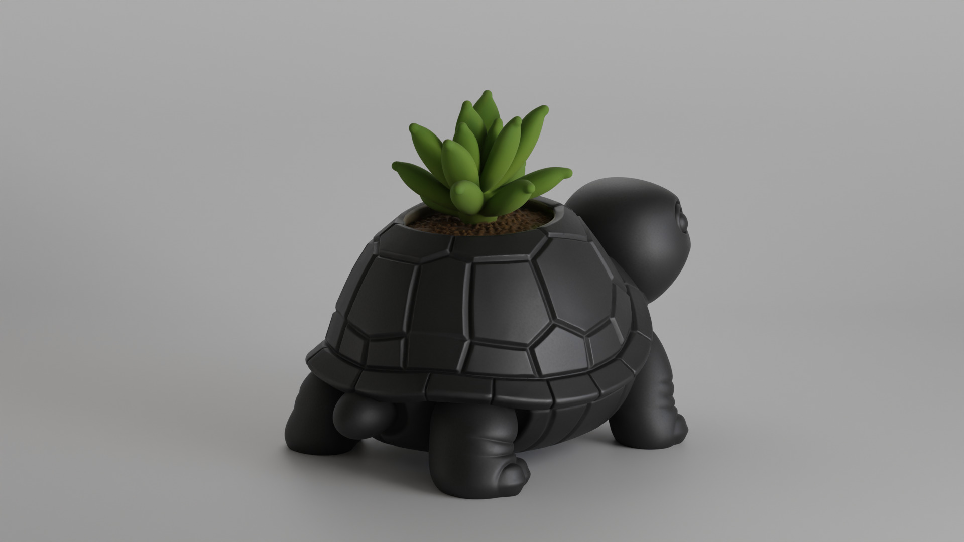 Turtle Planter  3D print model_5