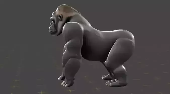  Silver back Gorilla z10