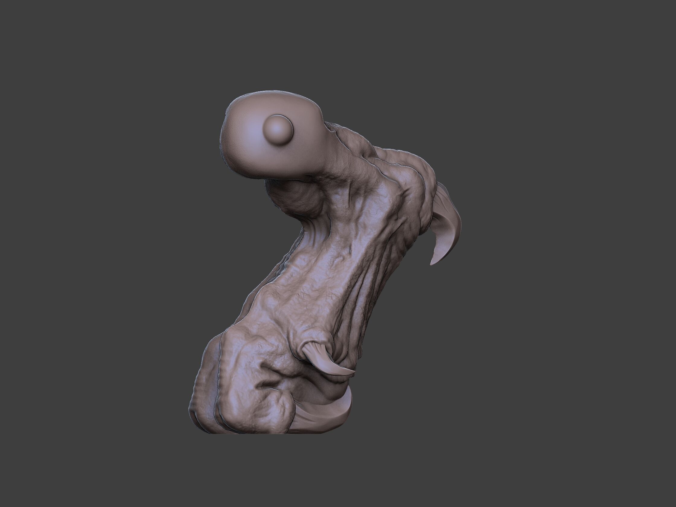 Xenoteras Exodon 3D print model_11