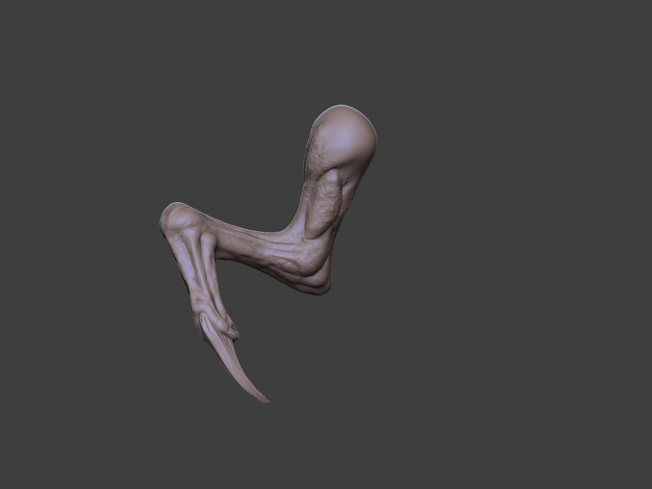 Xenoteras Exodon 3D print model_8