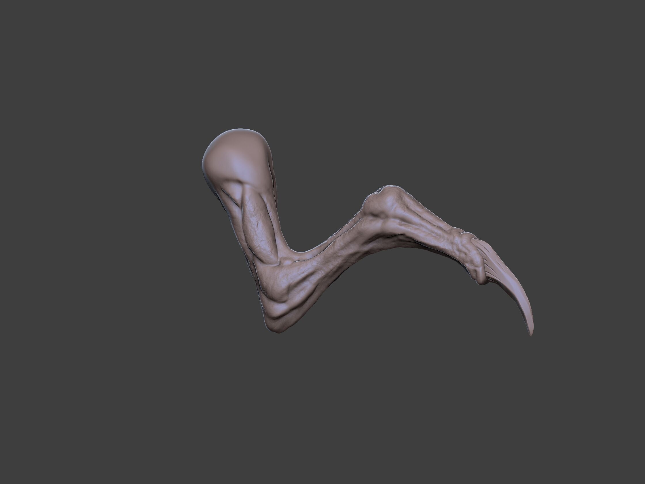 Xenoteras Exodon 3D print model_9