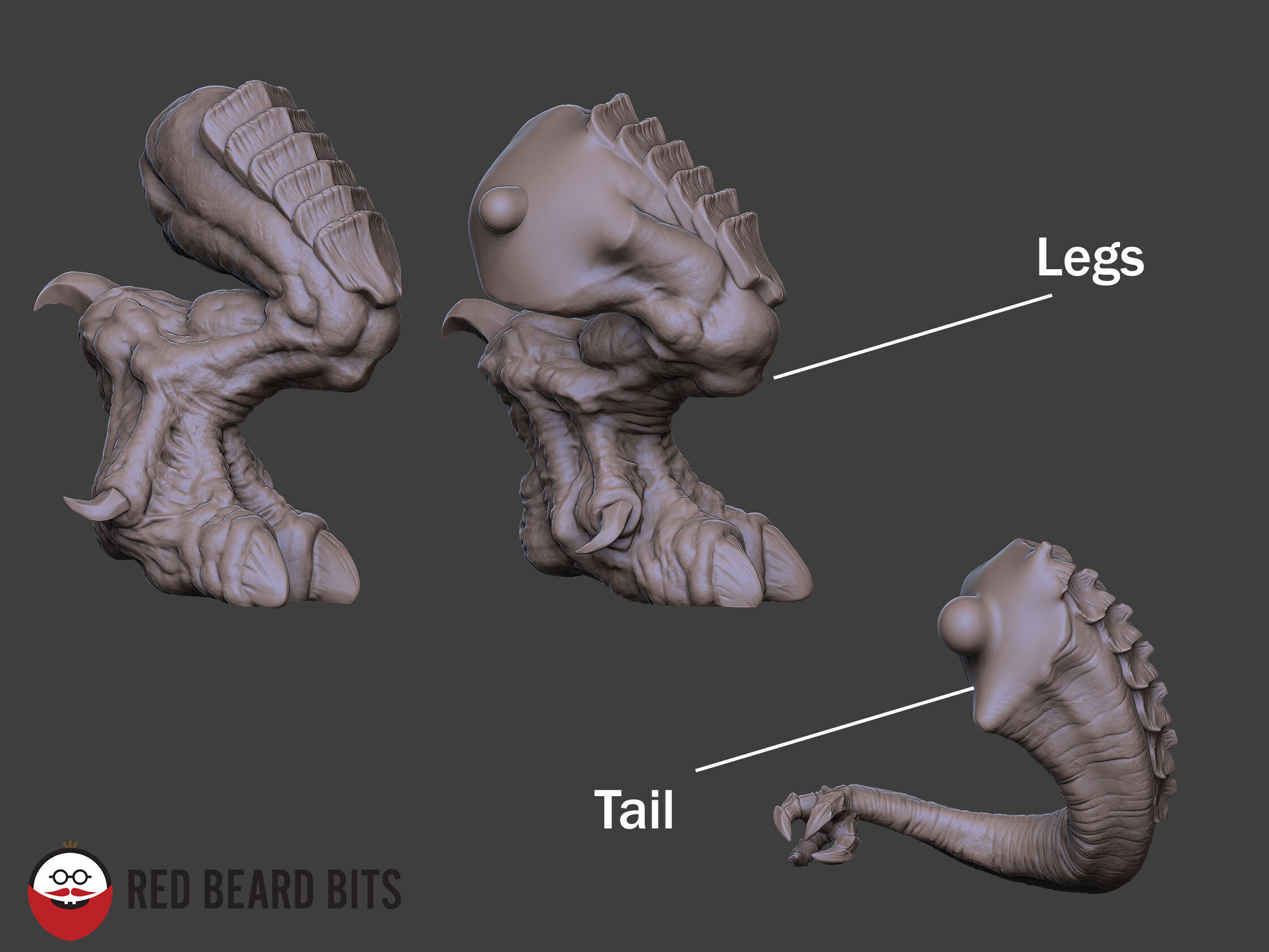Xenoteras Exodon 3D print model_3