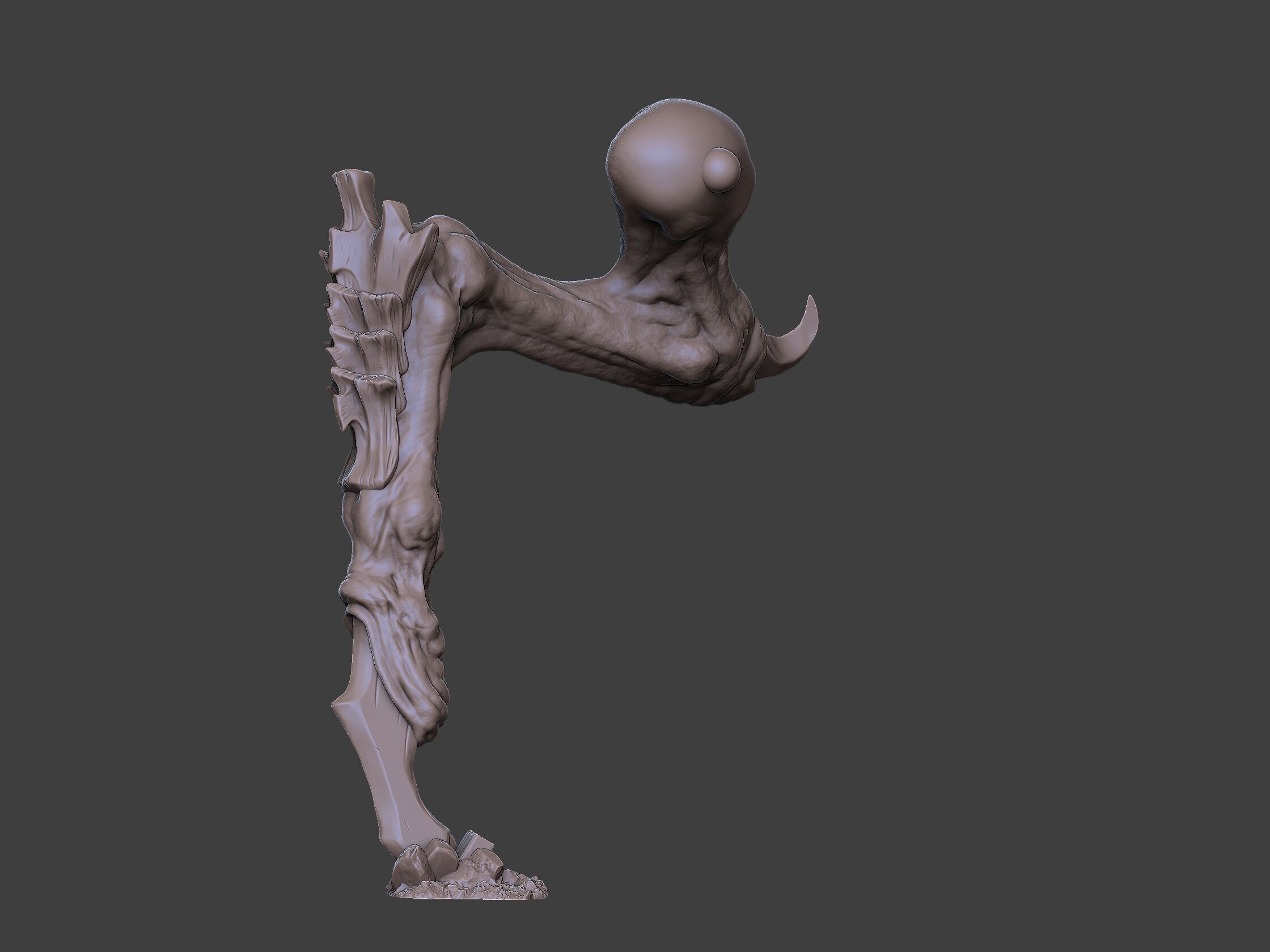 Xenoteras Exodon 3D print model_15