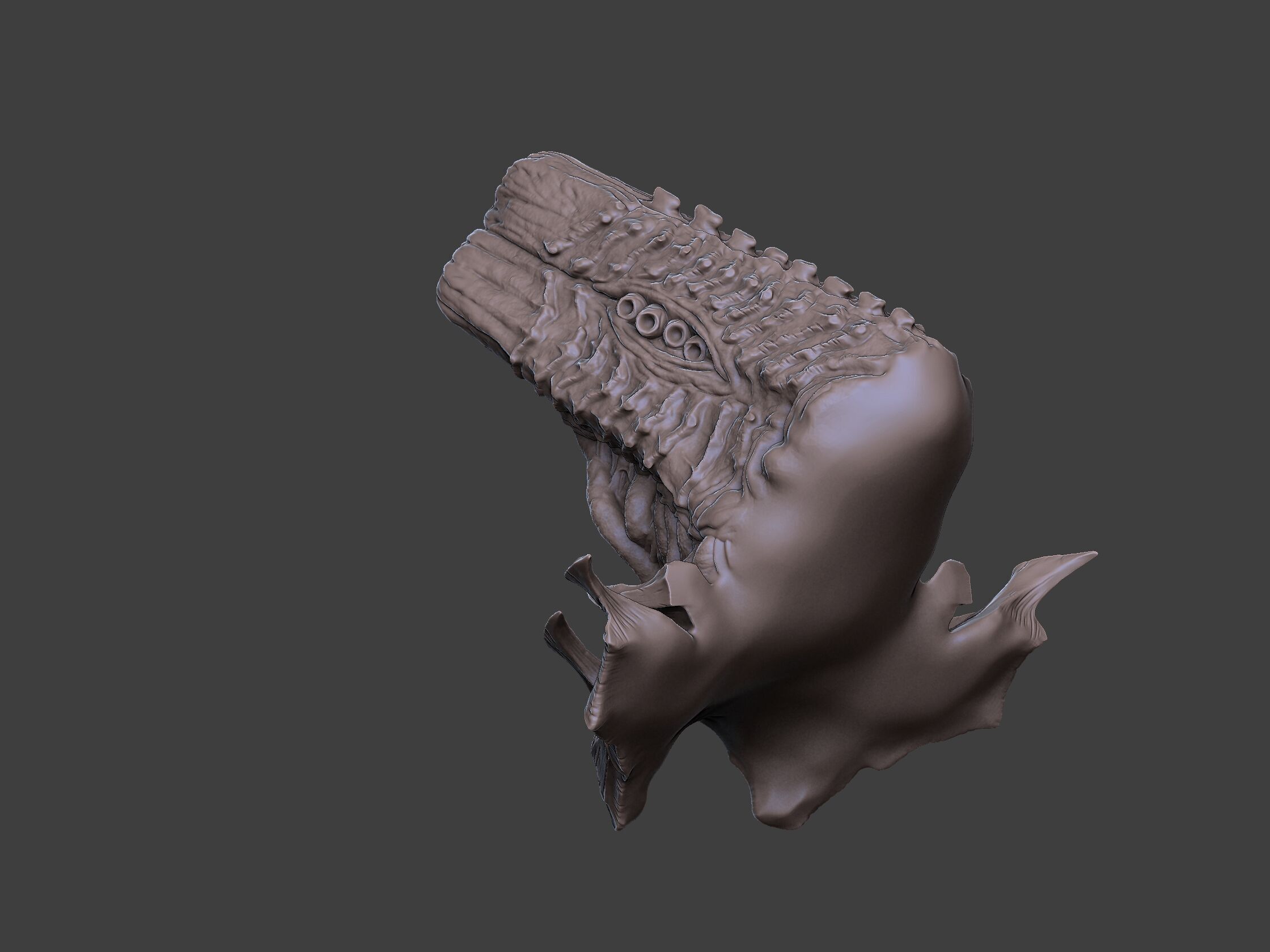 Xenoteras Exodon 3D print model_6