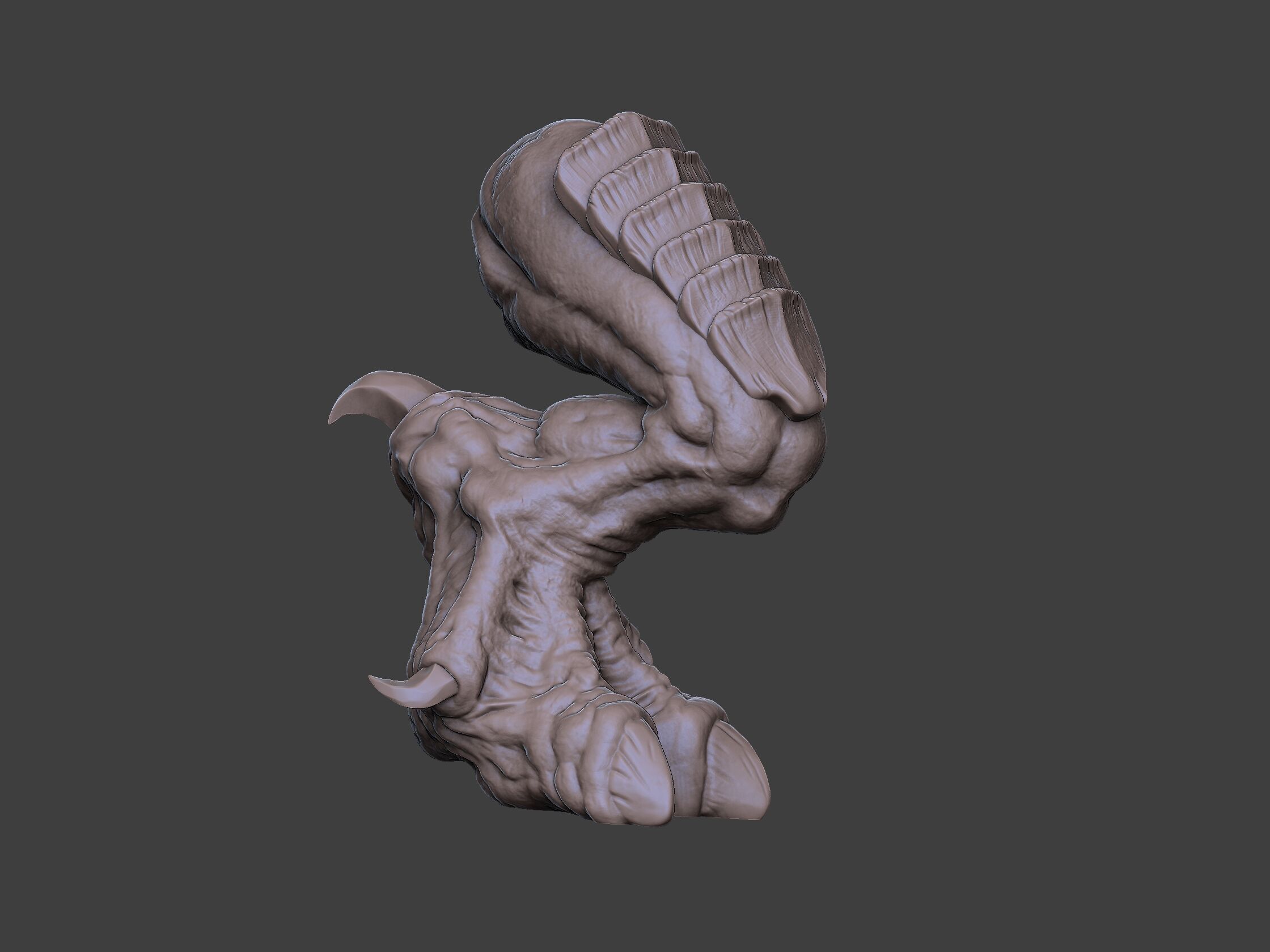Xenoteras Exodon 3D print model_19