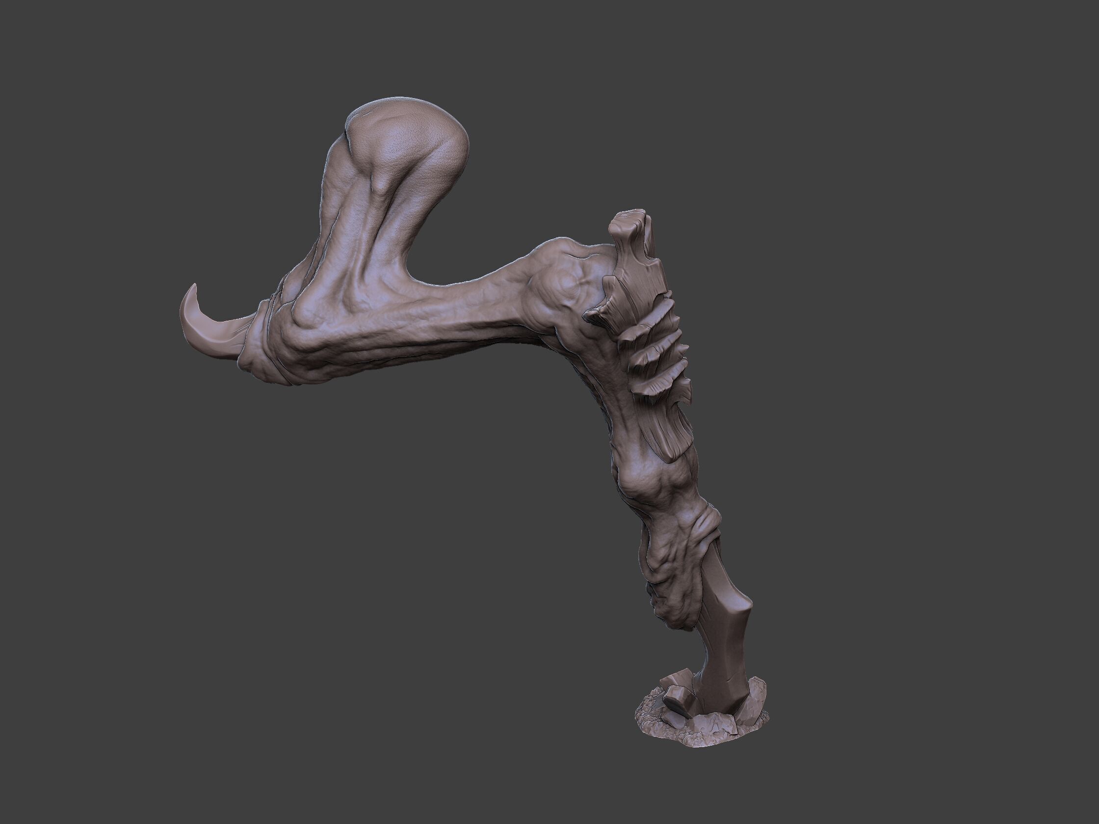 Xenoteras Exodon 3D print model_14