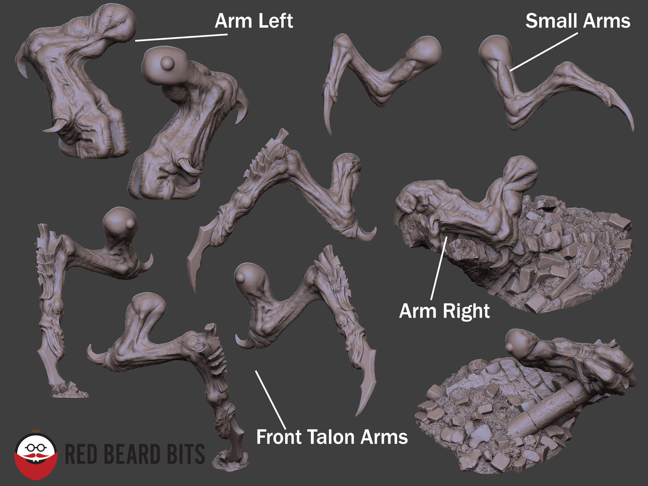 Xenoteras Exodon 3D print model_2