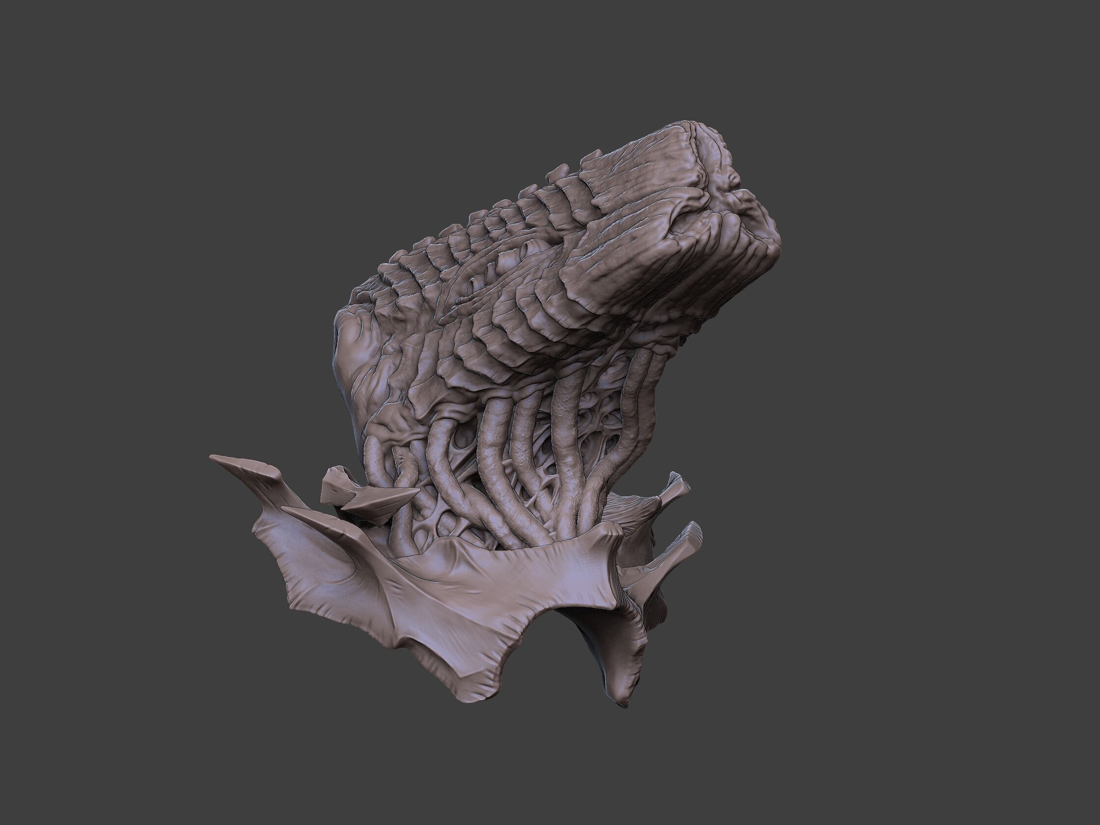 Xenoteras Exodon 3D print model_5