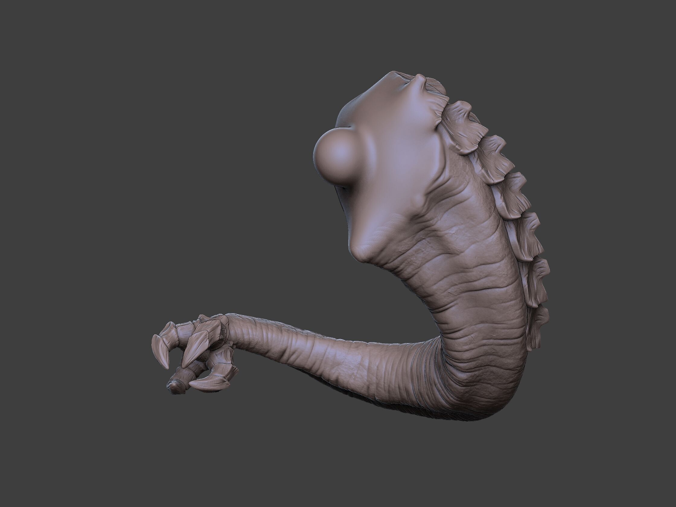 Xenoteras Exodon 3D print model_7