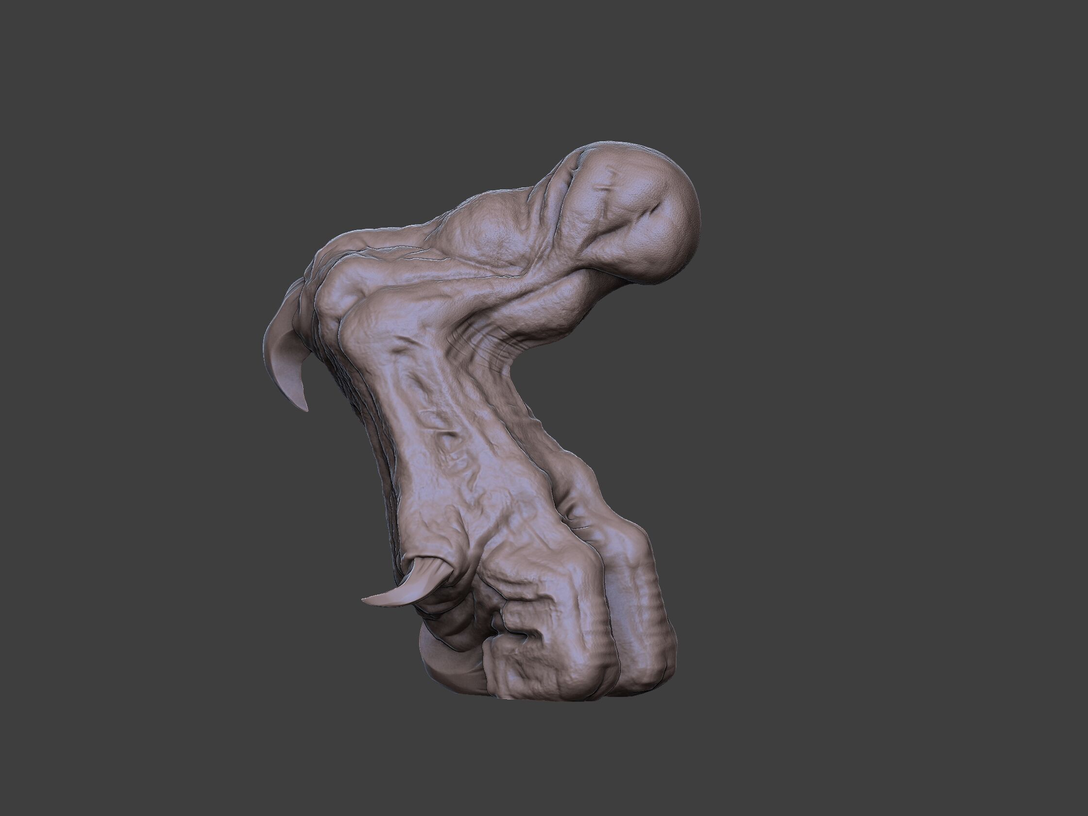 Xenoteras Exodon 3D print model_10