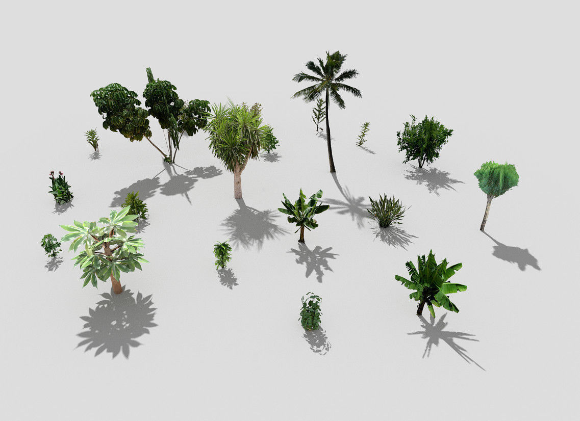 low poly plants collection and trees 3D model_3