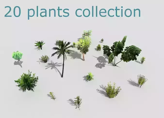 low poly plants collection and trees