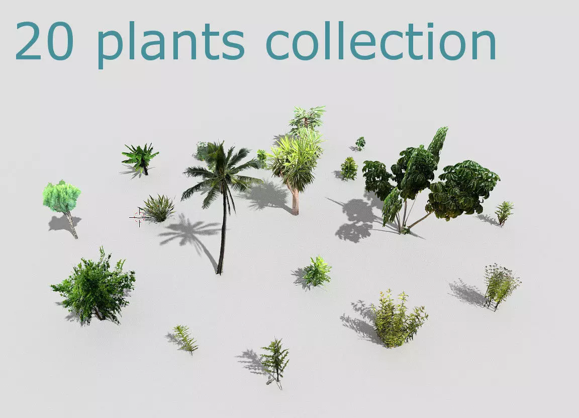 low poly plants collection and trees 3D model_0