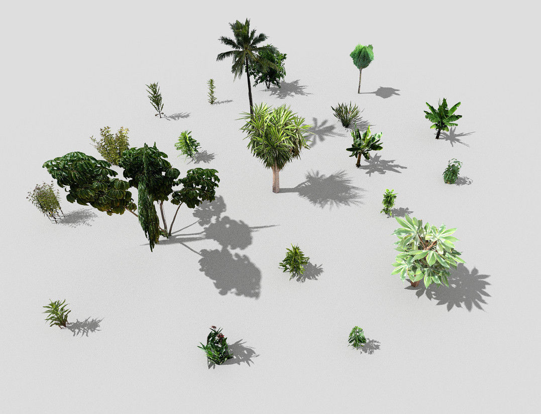 low poly plants collection and trees 3D model_5