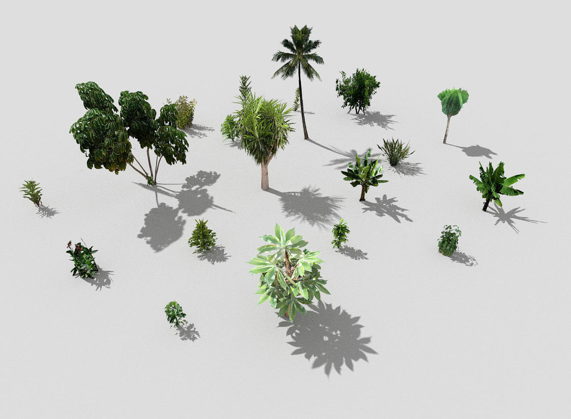 low poly plants collection and trees 3D model_4