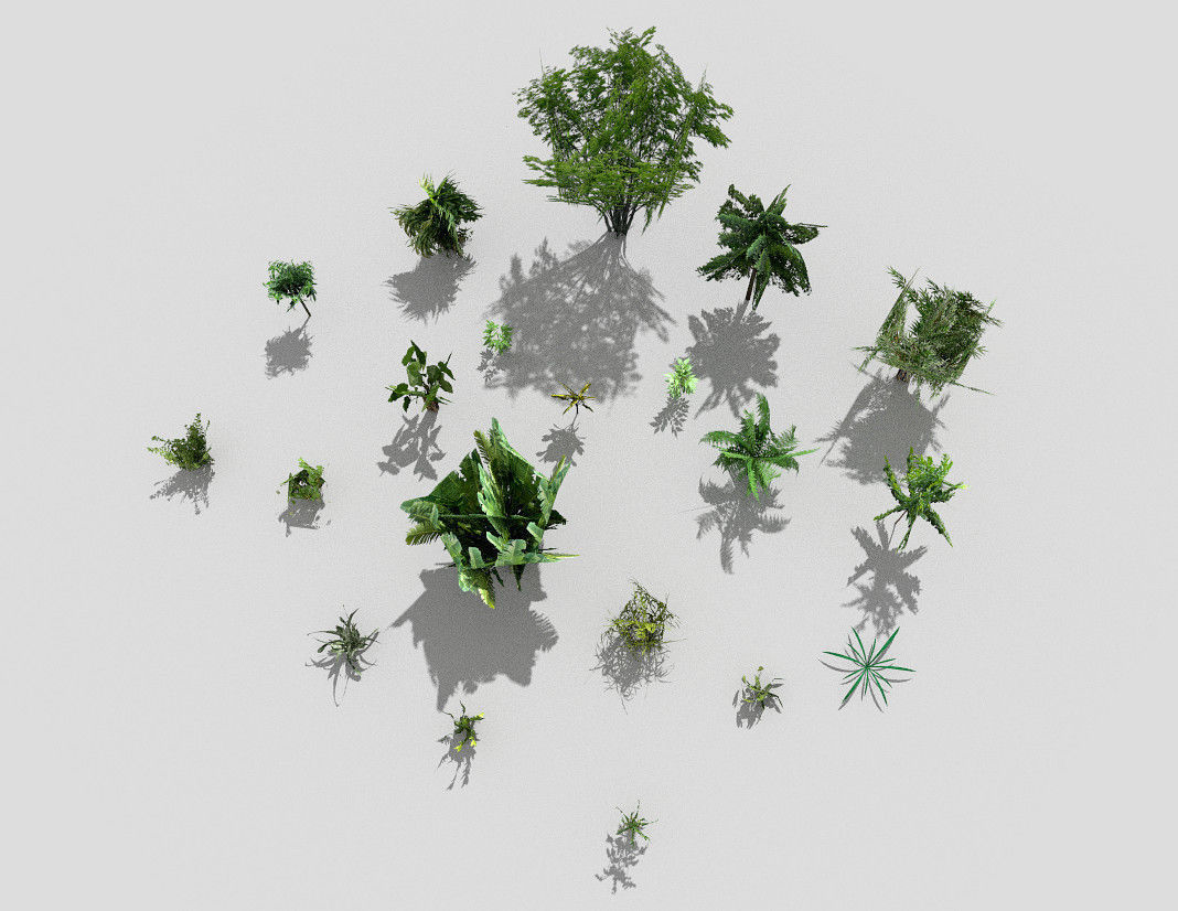 low poly plants collection tropical and trees Low-poly 3D model_2