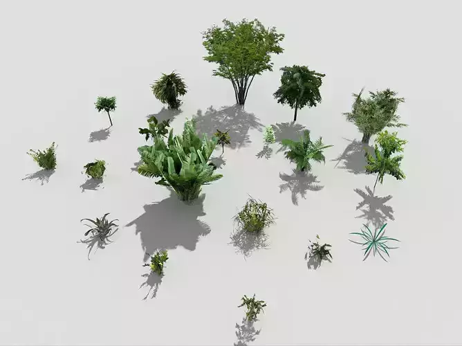 low poly plants collection tropical and trees Low-poly 3D model