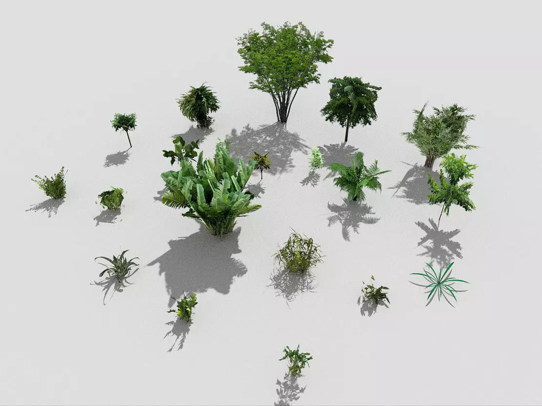 low poly plants collection tropical and trees Low-poly 3D model_0