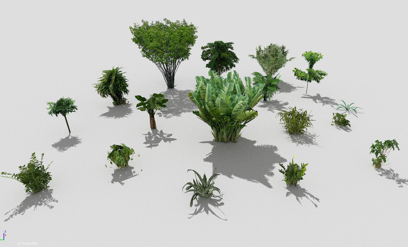 low poly plants collection tropical and trees Low-poly 3D model_5
