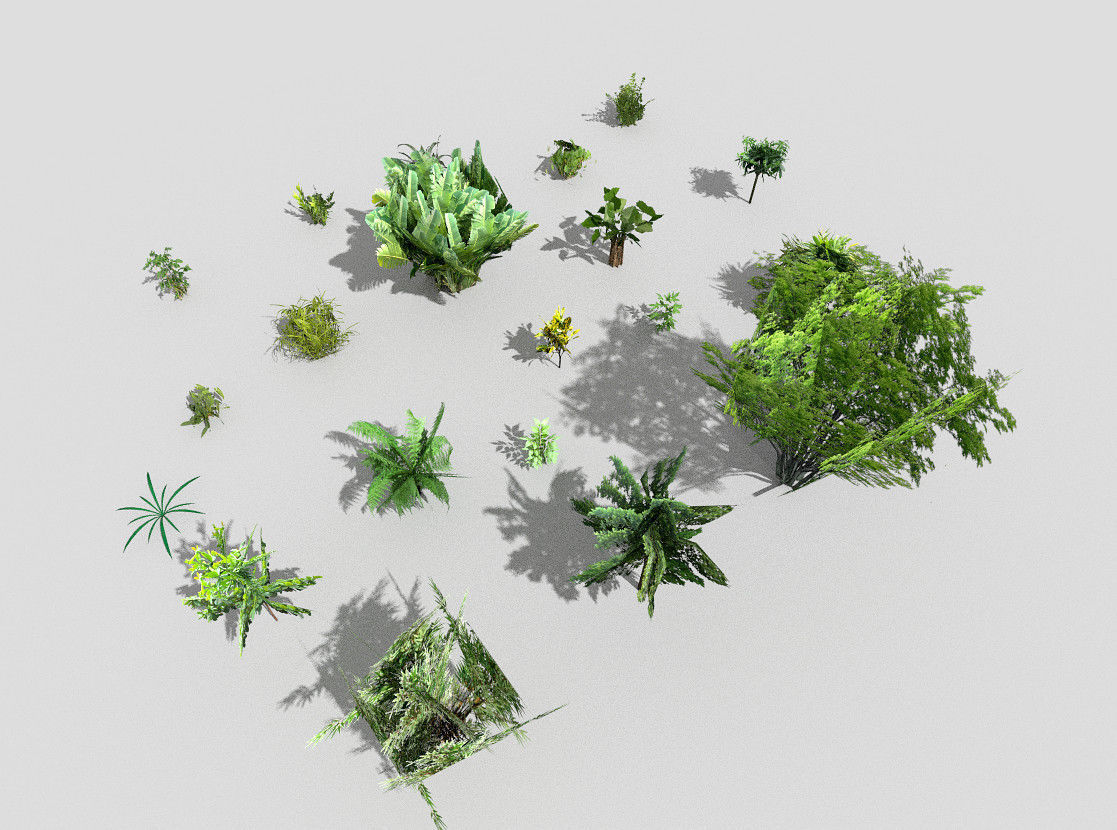 low poly plants collection tropical and trees Low-poly 3D model_4