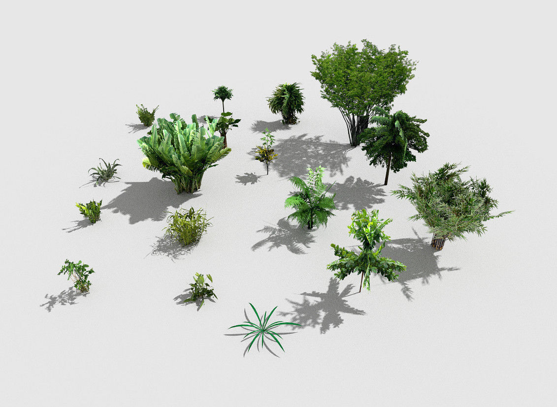 low poly plants collection tropical and trees Low-poly 3D model_3